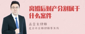 离婚后财产分割属于什么案件