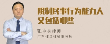 限制民事行为能力人又包括哪些