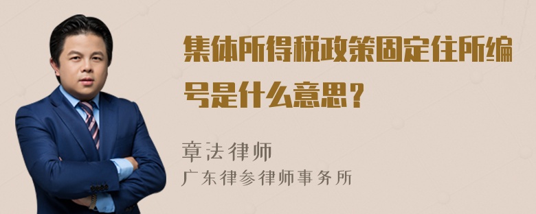 集体所得税政策固定住所编号是什么意思？