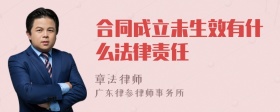 合同成立未生效有什么法律责任