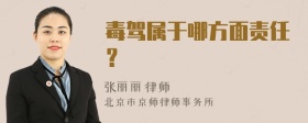 毒驾属于哪方面责任？