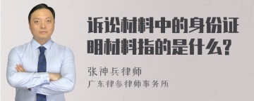 诉讼材料中的身份证明材料指的是什么?