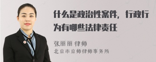 什么是政治性案件，行政行为有哪些法律责任