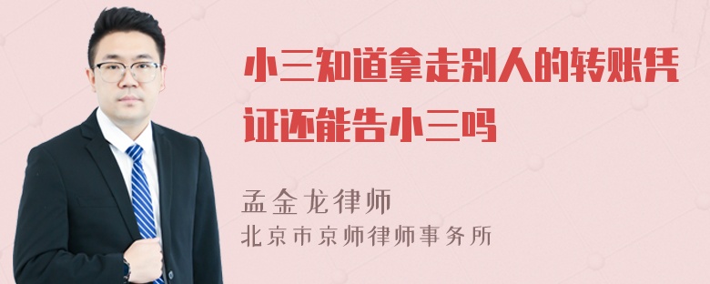 小三知道拿走别人的转账凭证还能告小三吗