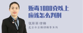 贩毒1000克以上应该怎么判刑