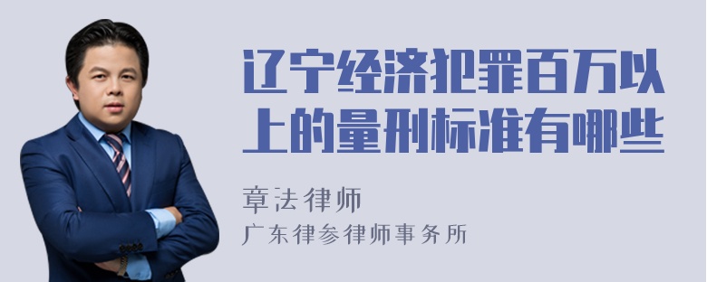 辽宁经济犯罪百万以上的量刑标准有哪些