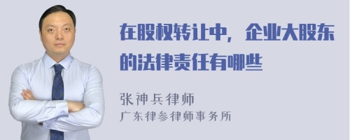 在股权转让中，企业大股东的法律责任有哪些