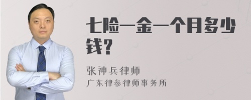 七险一金一个月多少钱？