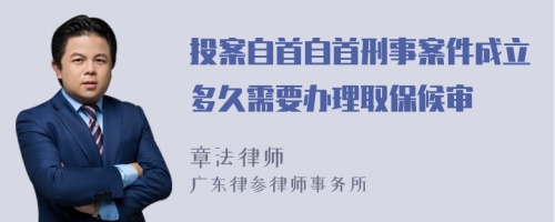 投案自首自首刑事案件成立多久需要办理取保候审