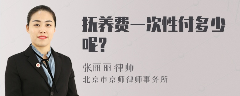 抚养费一次性付多少呢?