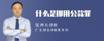 什么是挪用公款罪