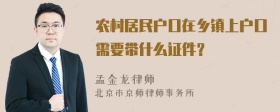 农村居民户口在乡镇上户口需要带什么证件？