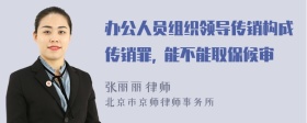 办公人员组织领导传销构成传销罪, 能不能取保候审