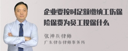 企业要按时足额缴纳工伤保险保费为员工投保什么