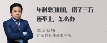 年利息3000，借了三万还不上，怎么办