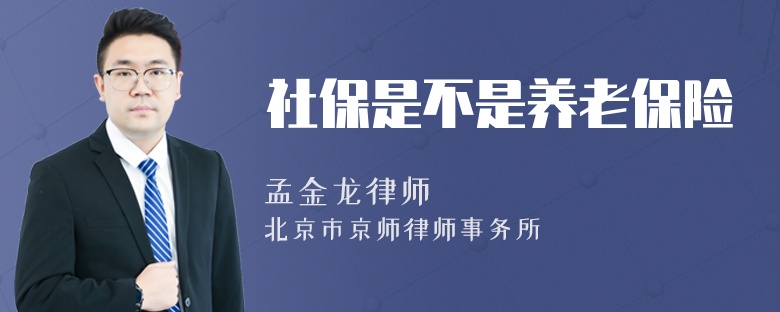 社保是不是养老保险