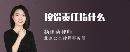 按份责任指什么