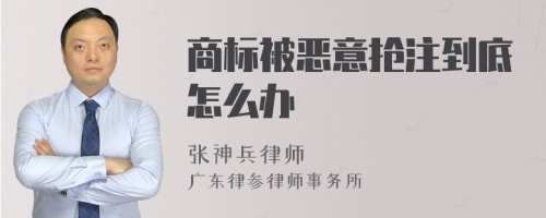 商标被恶意抢注到底怎么办