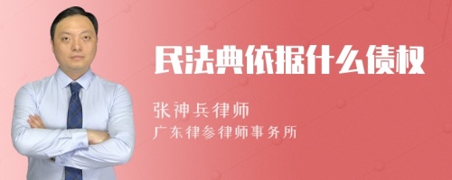 民法典依据什么债权