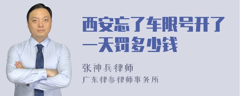 西安忘了车限号开了一天罚多少钱