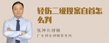 轻伤二级投案自首怎么判