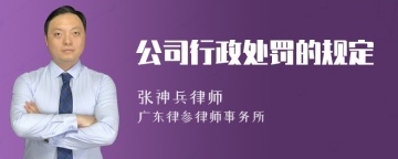 公司行政处罚的规定