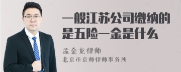 一般江苏公司缴纳的是五险一金是什么