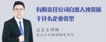 有限责任公司自然人独资属于什么企业类型