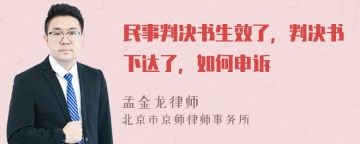 民事判决书生效了，判决书下达了，如何申诉