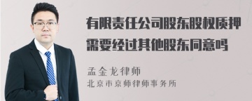 有限责任公司股东股权质押需要经过其他股东同意吗