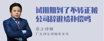 试用期到了不转正被公司辞退给补偿吗