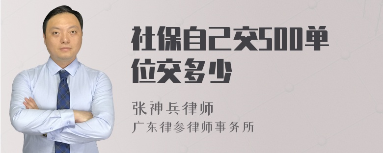 社保自己交500单位交多少