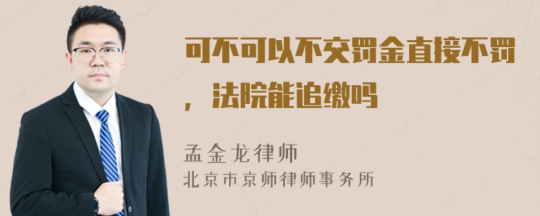 可不可以不交罚金直接不罚，法院能追缴吗