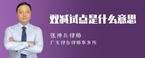 双减试点是什么意思