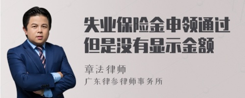 失业保险金申领通过但是没有显示金额