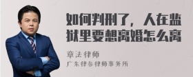 如何判刑了，人在监狱里要想离婚怎么离