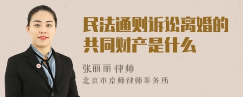 民法通则诉讼离婚的共同财产是什么