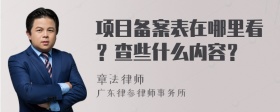 项目备案表在哪里看？查些什么内容？