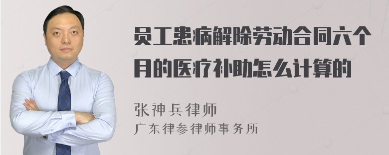 员工患病解除劳动合同六个月的医疗补助怎么计算的