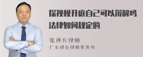 探视权开庭自己可以辩解吗法律如何规定的