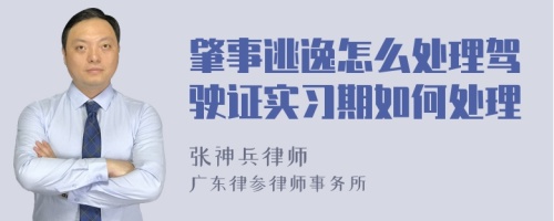 肇事逃逸怎么处理驾驶证实习期如何处理