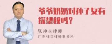 爷爷奶奶对孙子女有探望权吗？