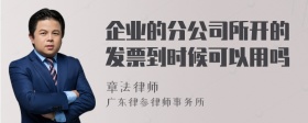 企业的分公司所开的发票到时候可以用吗