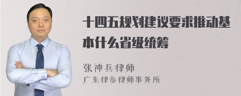 十四五规划建议要求推动基本什么省级统筹