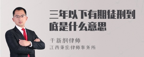 三年以下有期徒刑到底是什么意思