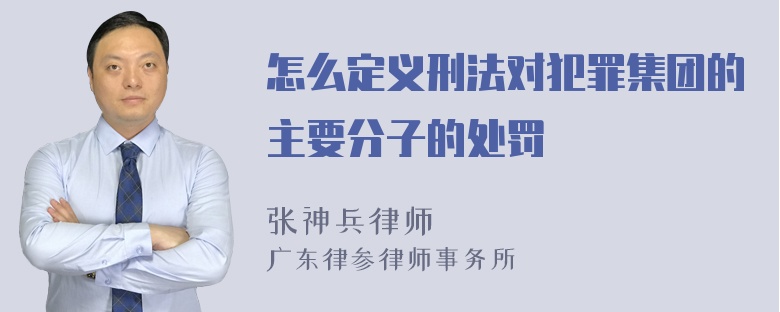 怎么定义刑法对犯罪集团的主要分子的处罚