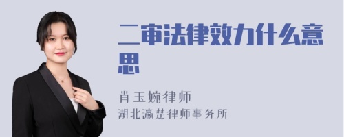 二审法律效力什么意思