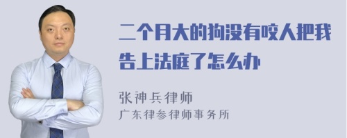 二个月大的狗没有咬人把我告上法庭了怎么办