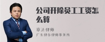 公司开除员工工资怎么算