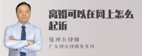 离婚可以在网上怎么起诉